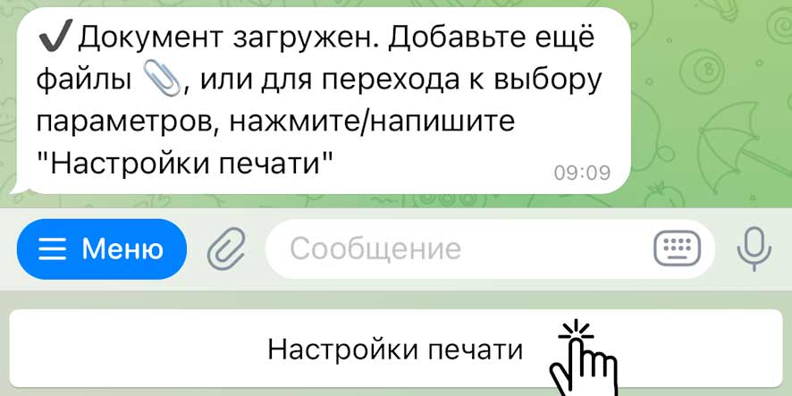 Нажмите Настройки печати3