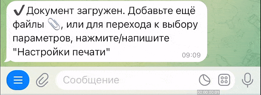 Напишите Настройки печати
