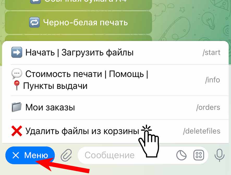 Меню: Удалить все файлы из корзины